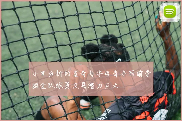 小里分析约基奇与字母哥夺冠前景掘金队球员交易潜力巨大